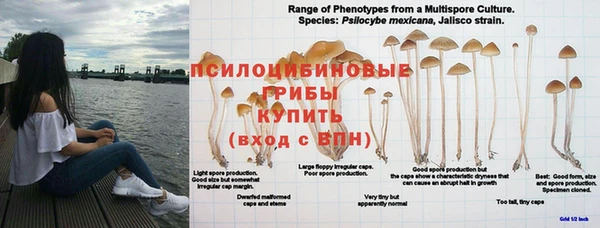 амф Пенза
